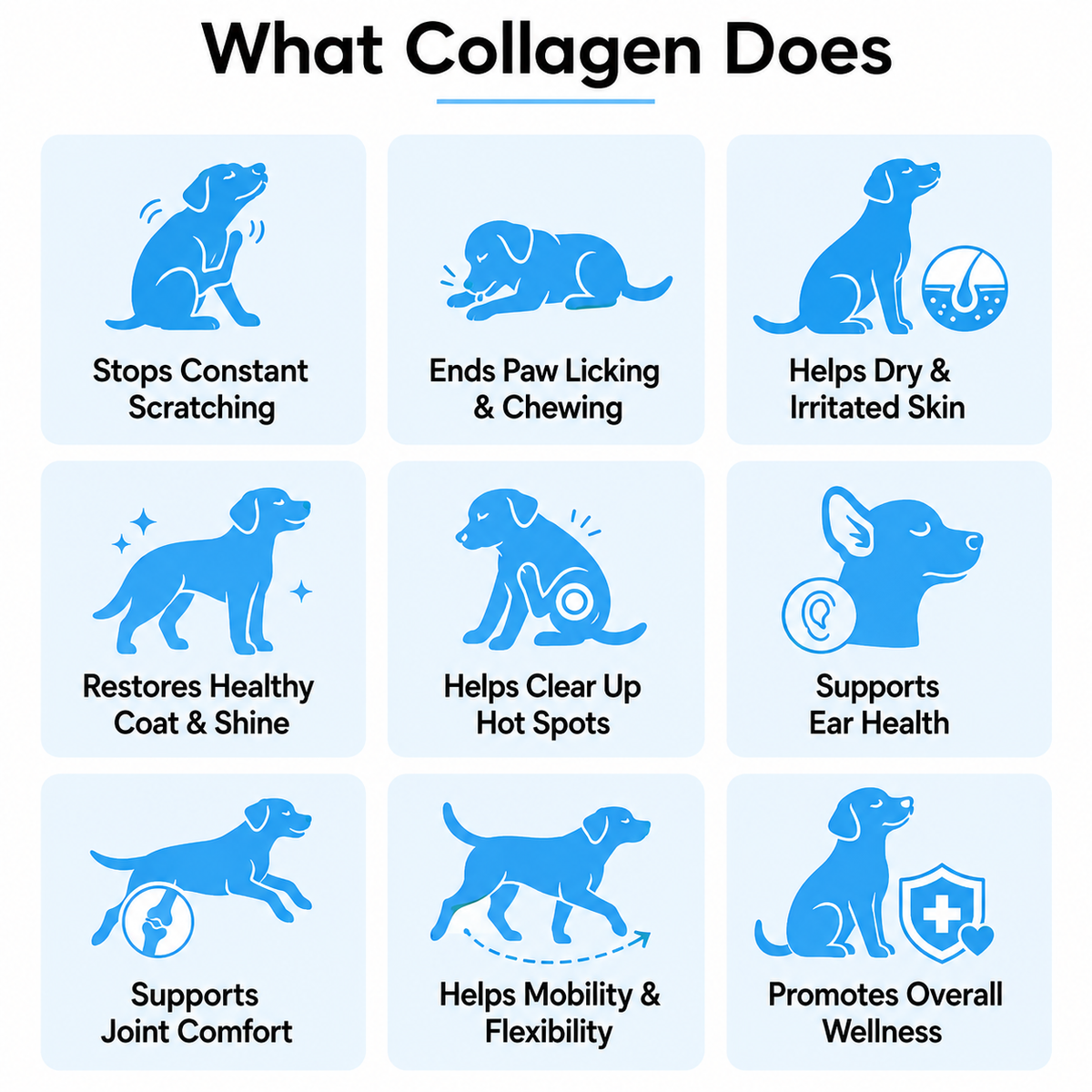 Premium Liquid Collagen - Skin, Joint & Wellness Support