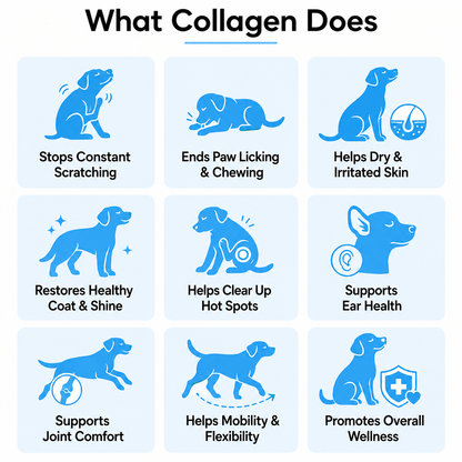 Premium Liquid Collagen - Skin, Joint & Wellness Support