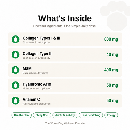 Premium Liquid Collagen - Skin, Joint & Wellness Support